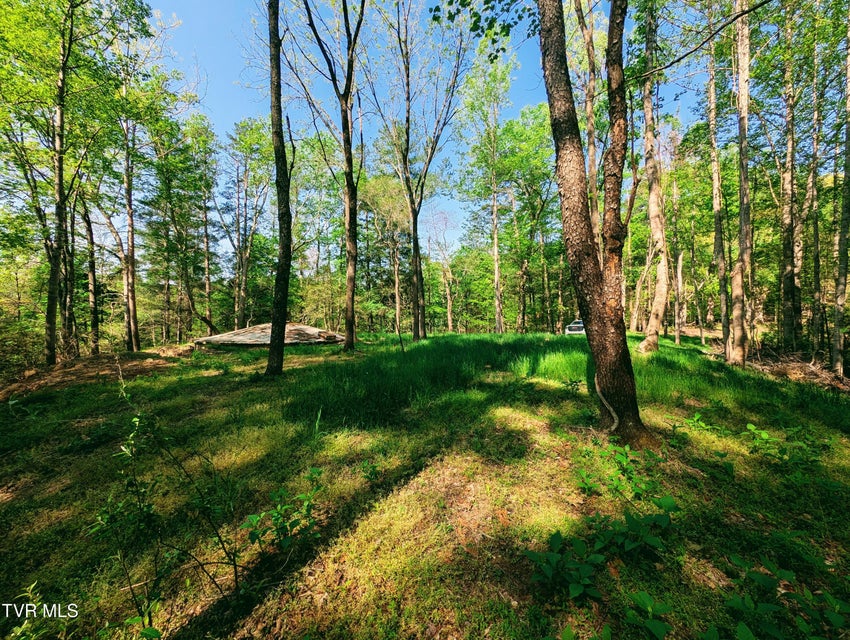 Photo #6: Tbd Leaf Ridge