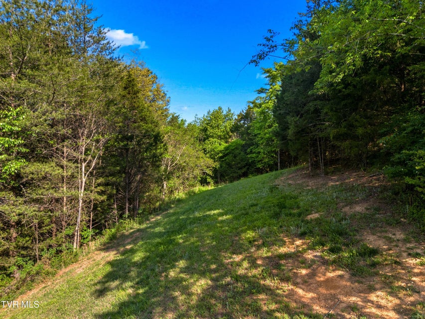 Photo #36: 103 Hidden Estates Way