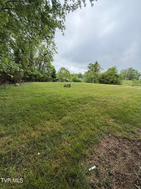 Photo #5: 1007 Embreville Road