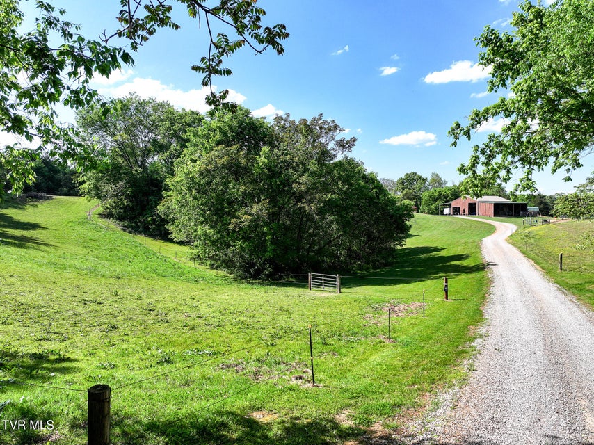 Photo #86: 1980 Allens Bridge Road