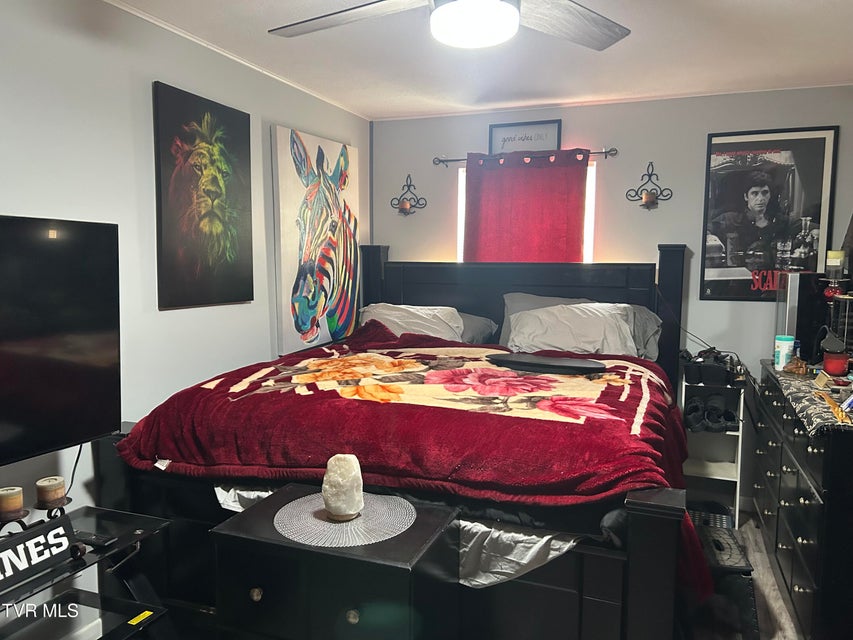 Photo #25: 281 Webb Road