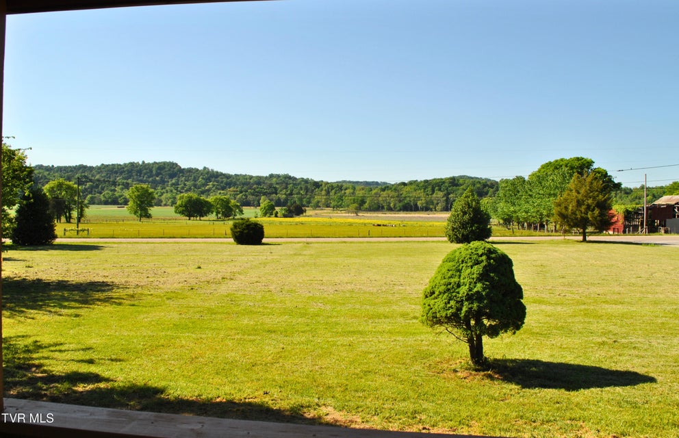 Photo #3: 110 Chinquapin Lane