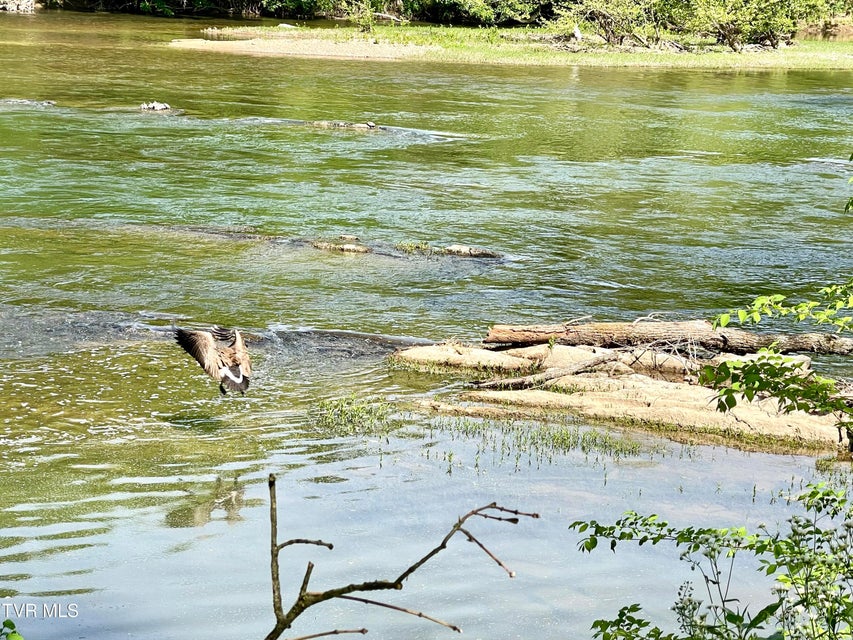 Photo #59: 105 Copper Creek Road