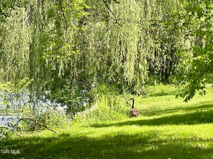 Photo #10: 105 Copper Creek Road