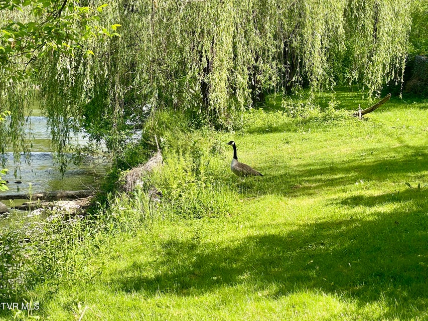 Photo #9: 105 Copper Creek Road