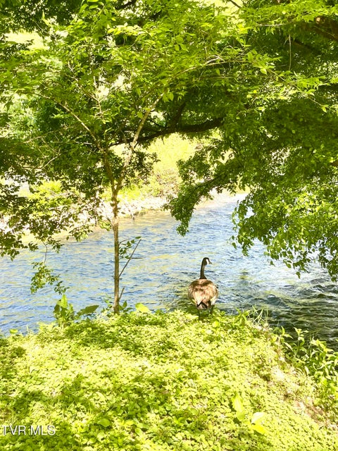 Photo #17: 105 Copper Creek Road