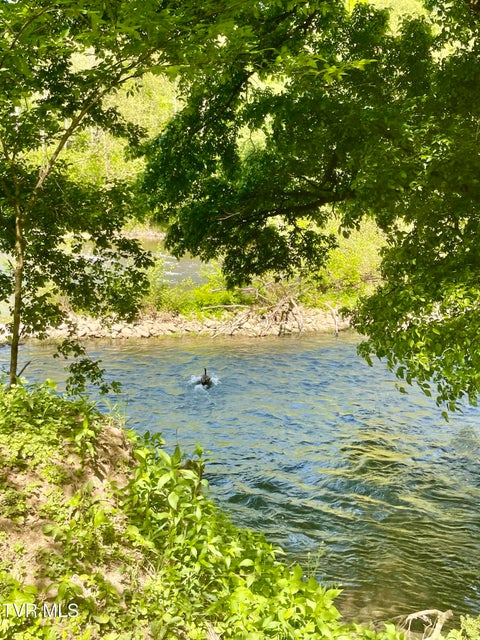 Photo #16: 105 Copper Creek Road