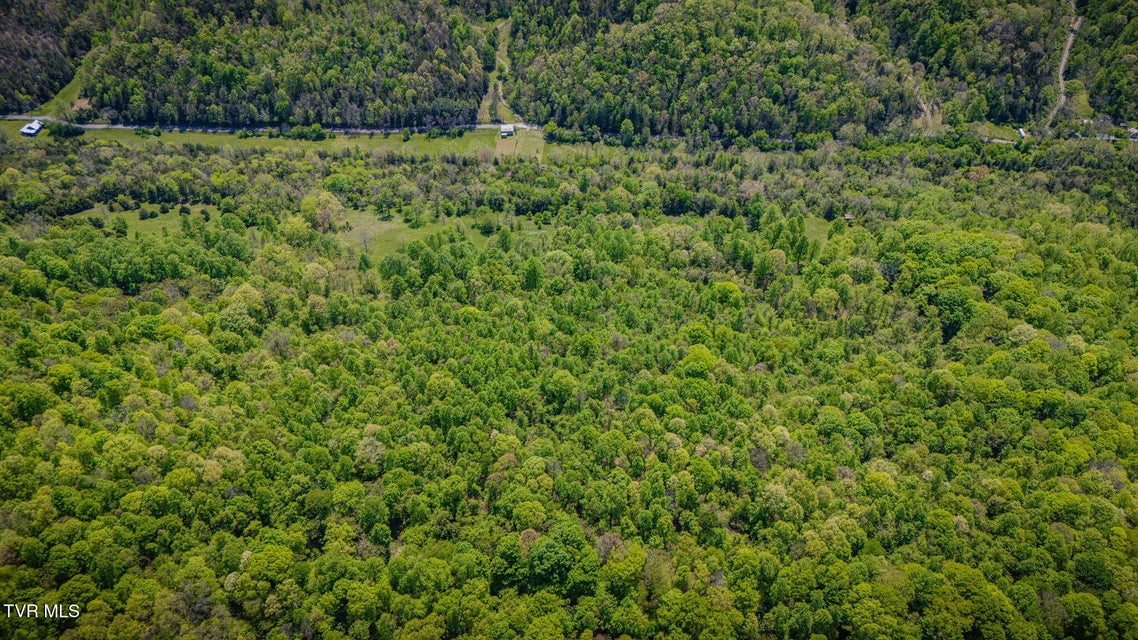 Photo #12: 5367 Clinch Mountain Road