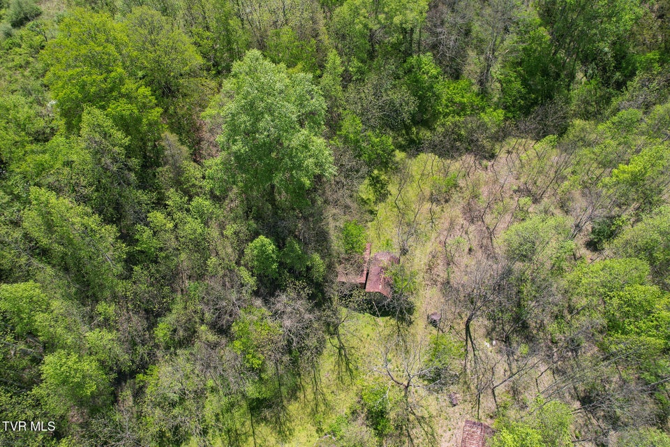 Photo #41: 2170 Saltville Highway