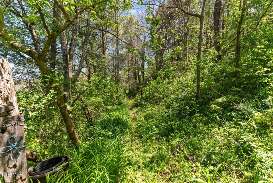 Photo #15: 2170 Saltville Highway