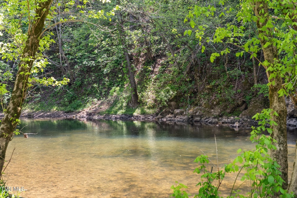 Photo #16: 2170 Saltville Highway