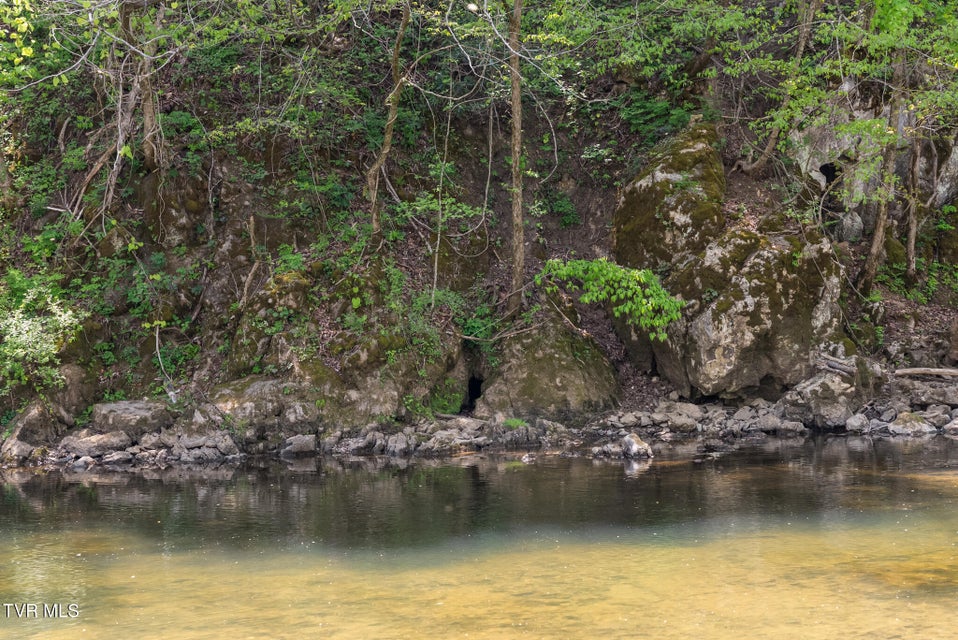 Photo #53: 2170 Saltville Highway