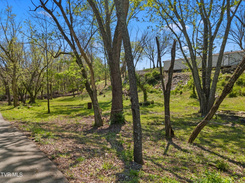 Photo #24: 115 Melrose Avenue