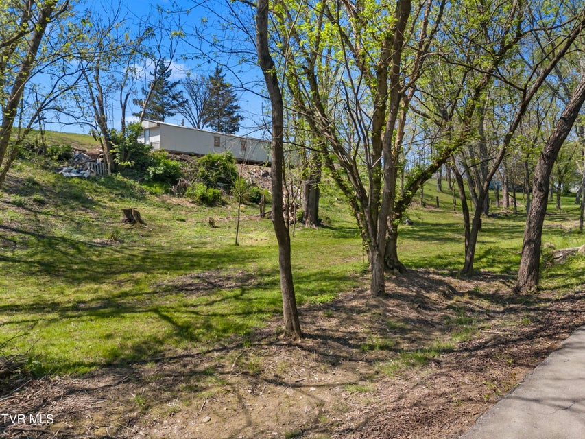 Photo #25: 115 Melrose Avenue