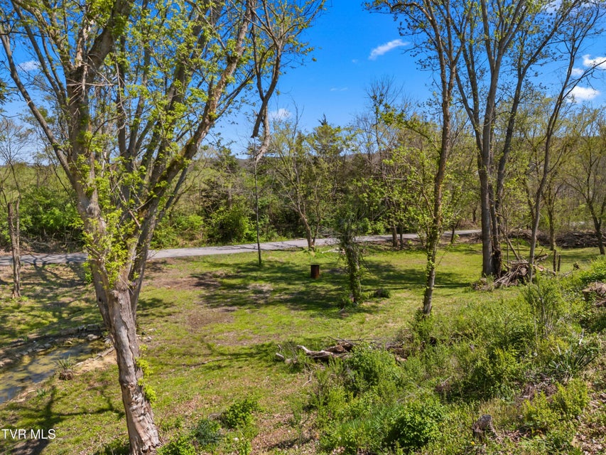 Photo #27: 115 Melrose Avenue