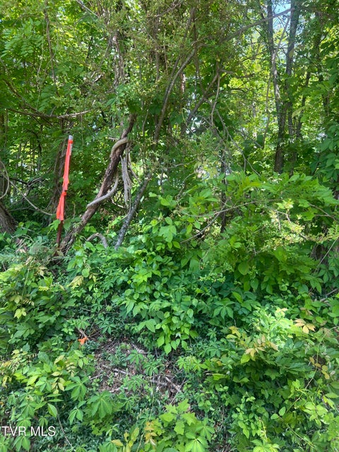 Photo #9: 412 Main Street