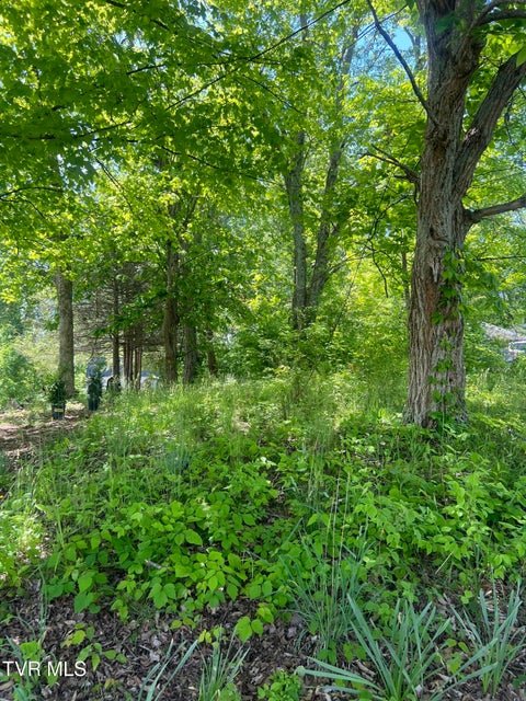 Photo #8: 412 Main Street