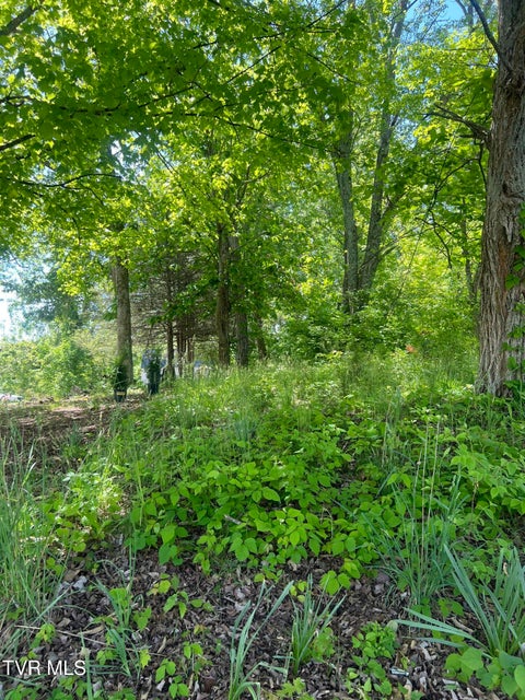 Photo #5: 412 Main Street