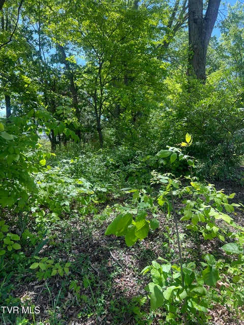 Photo #12: 412 Main Street