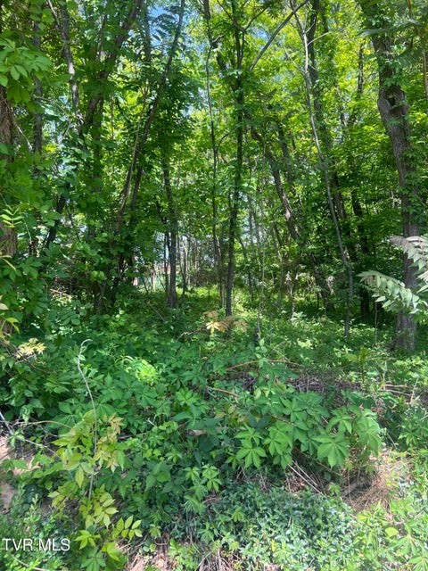 Photo #11: 412 Main Street