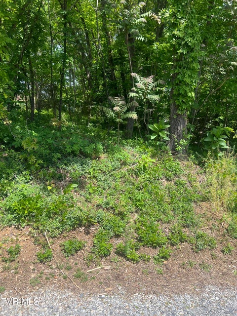 Photo #10: 412 Main Street