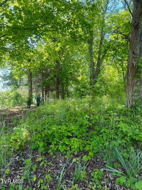 Photo #6: 412 Main Street