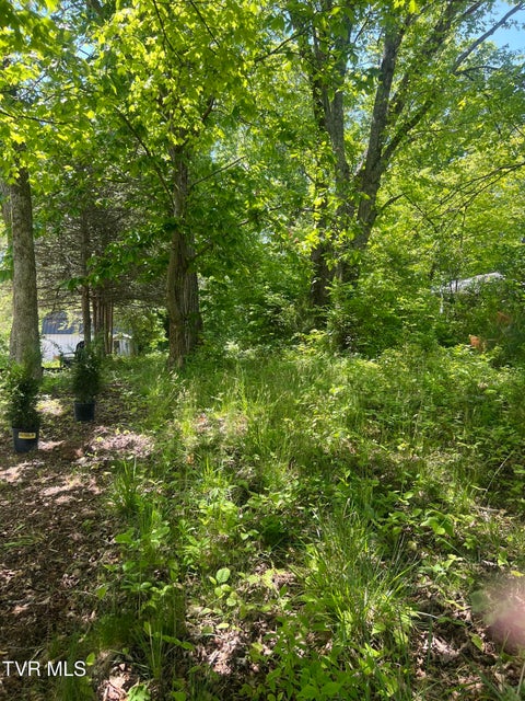 Photo #7: 412 Main Street