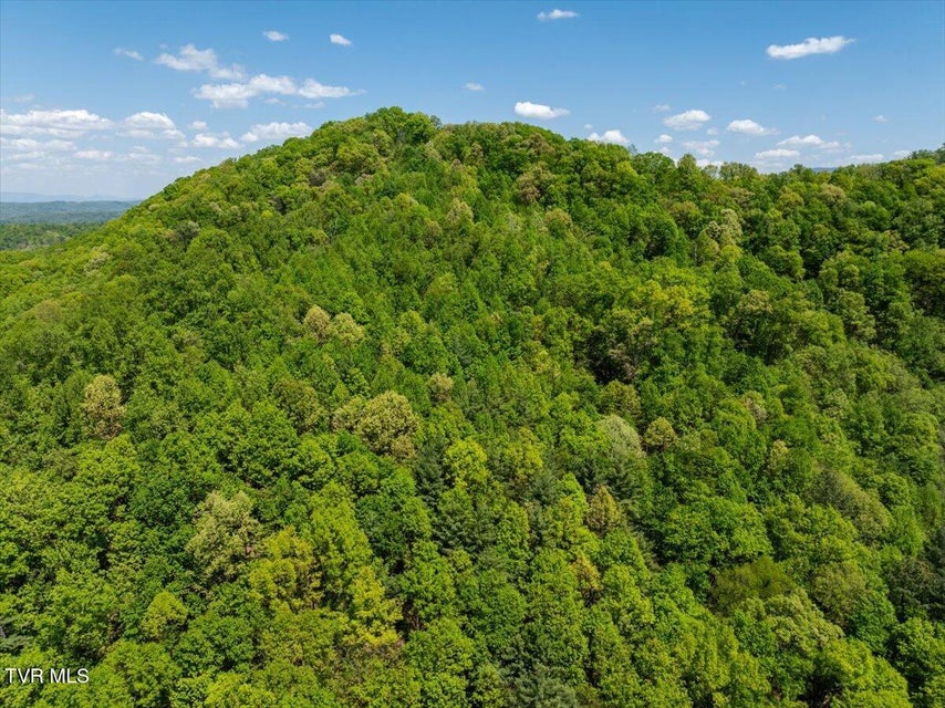 Photo #28: 761 Ryder Church Road