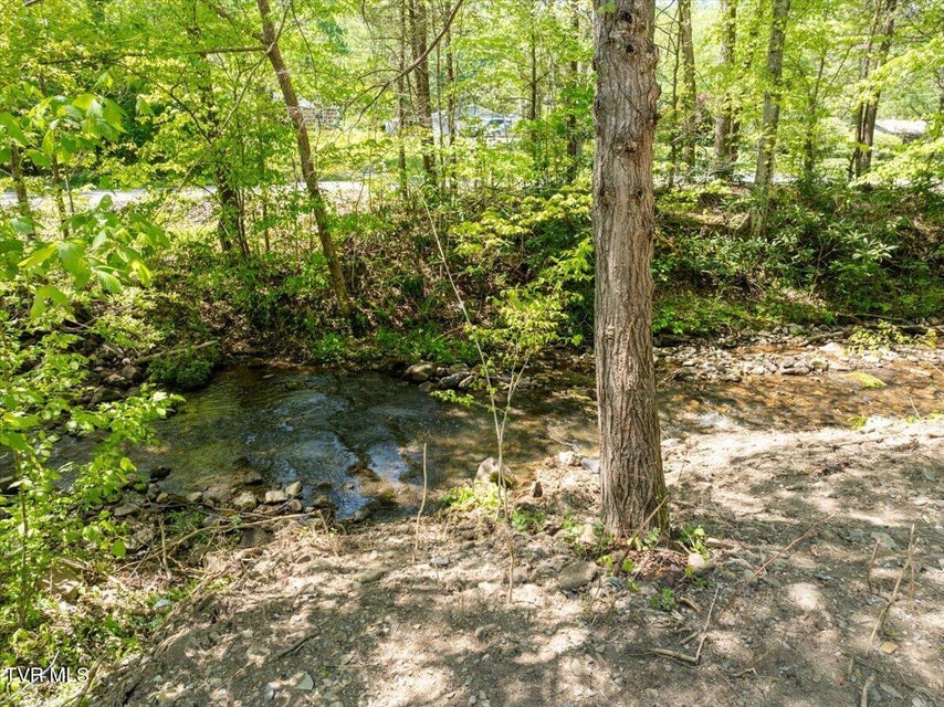 Photo #53: 761 Ryder Church Road