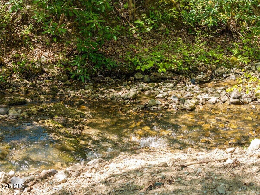 Photo #54: 761 Ryder Church Road