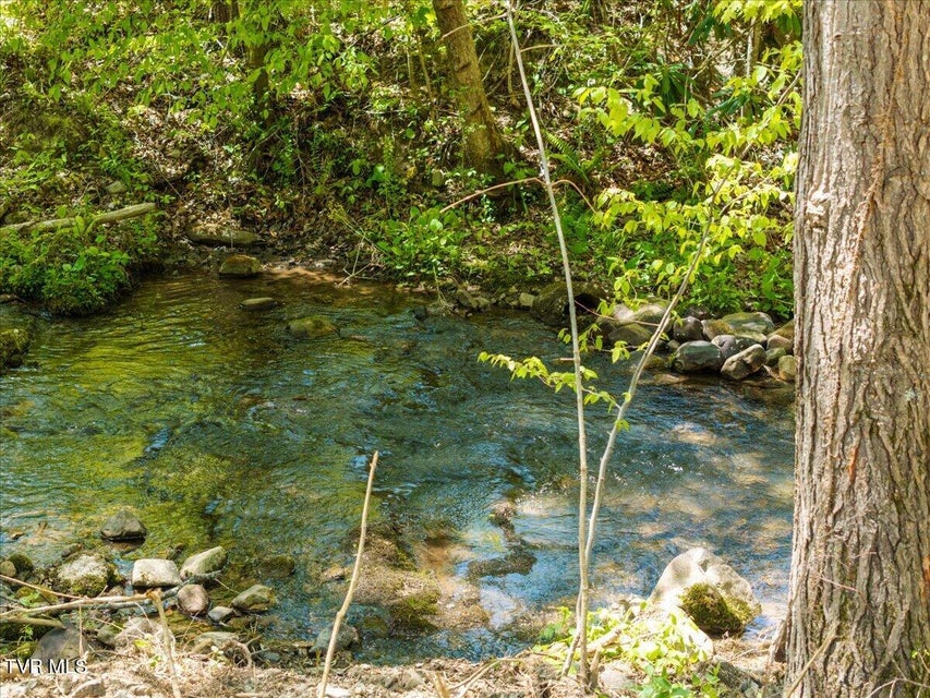 Photo #55: 761 Ryder Church Road