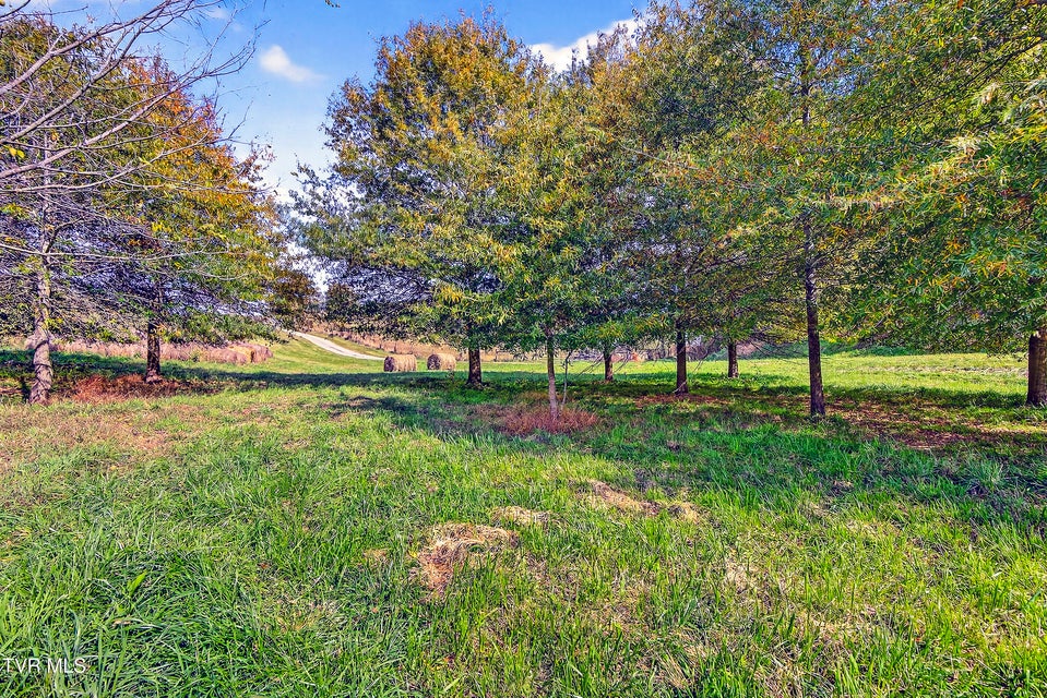 Photo #66: 13129 Northridge Road