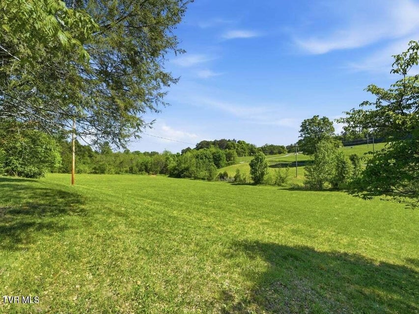 Photo #37: 541 Big Springs Drive