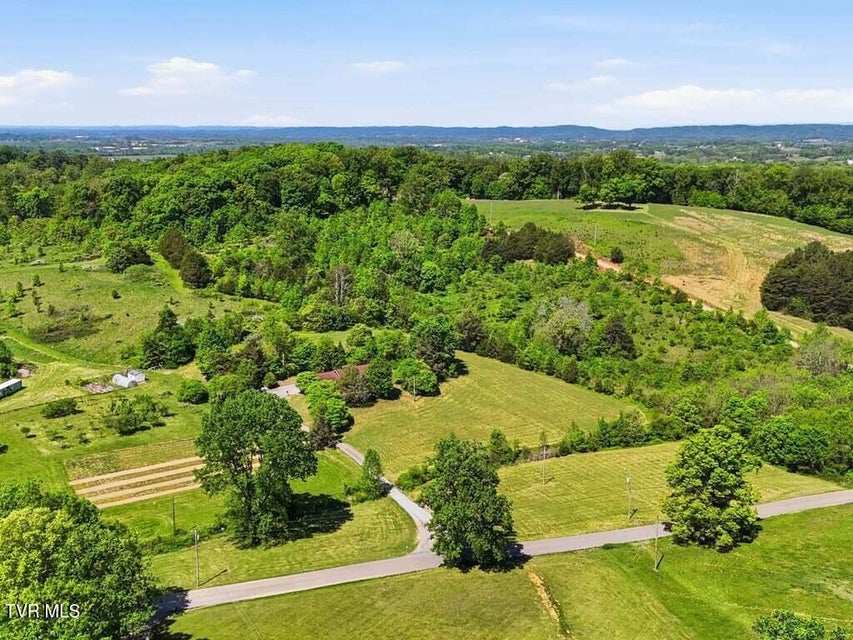 Photo #38: 541 Big Springs Drive