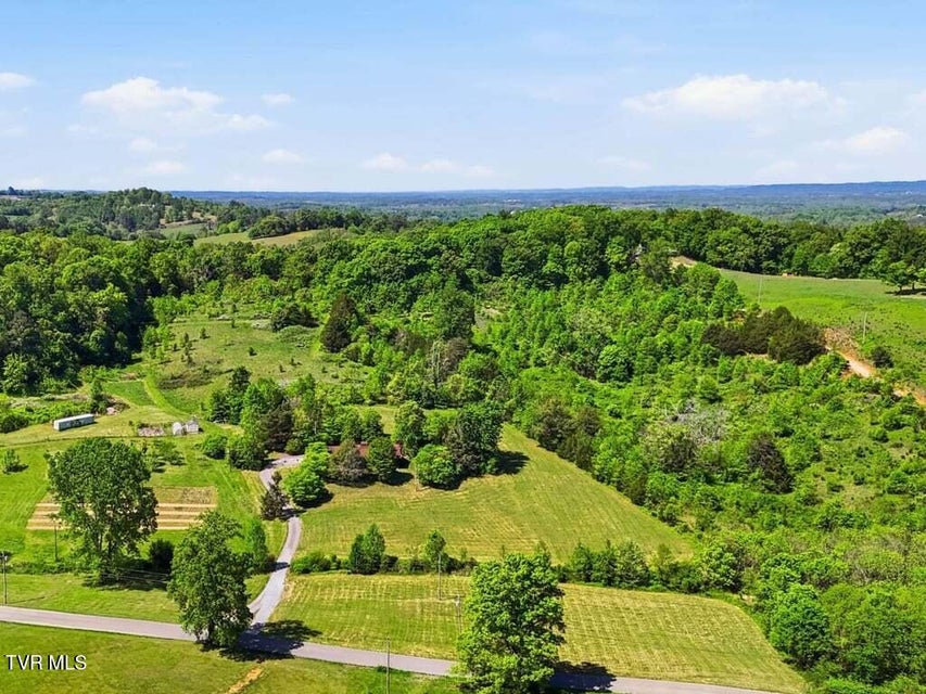 Photo #39: 541 Big Springs Drive