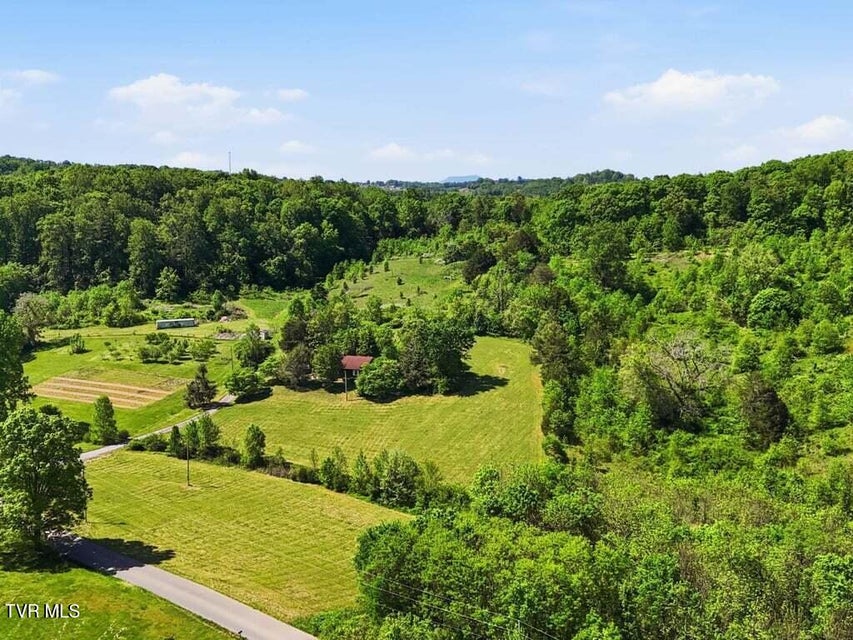 Photo #40: 541 Big Springs Drive