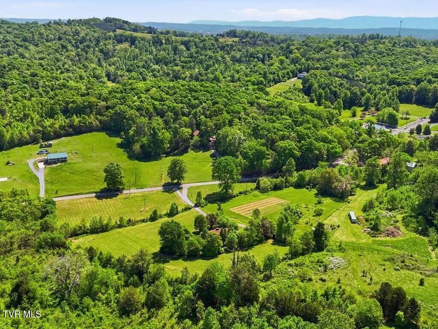 Photo #41: 541 Big Springs Drive