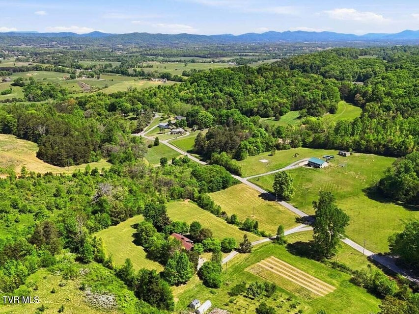 Photo #42: 541 Big Springs Drive