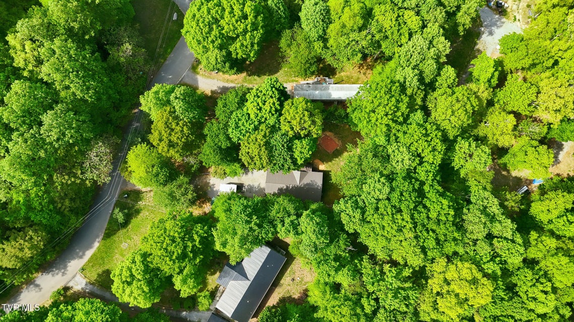 Photo #29: 117 Wb Yeats Drive