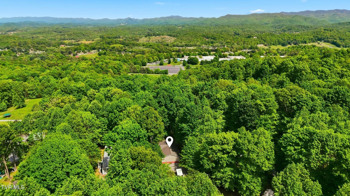 Photo #30: 117 Wb Yeats Drive