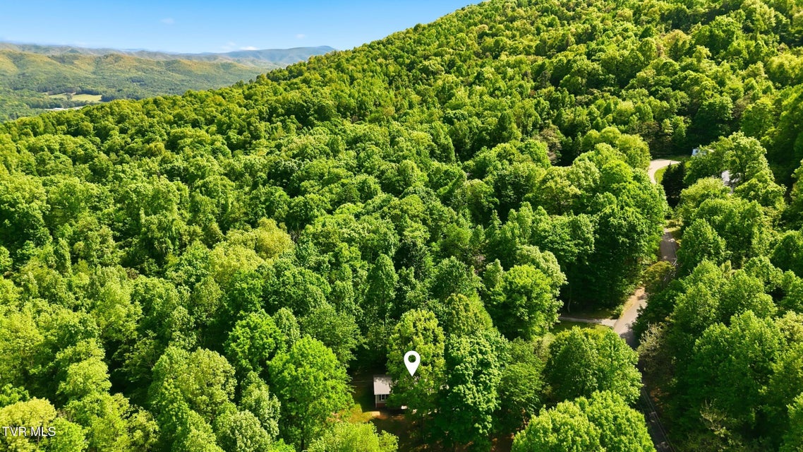 Photo #31: 117 Wb Yeats Drive