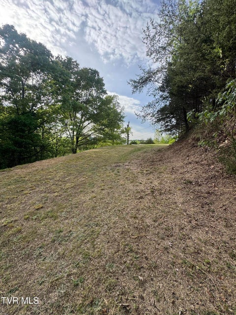 Photo #3: 328 Tester Hollow Road