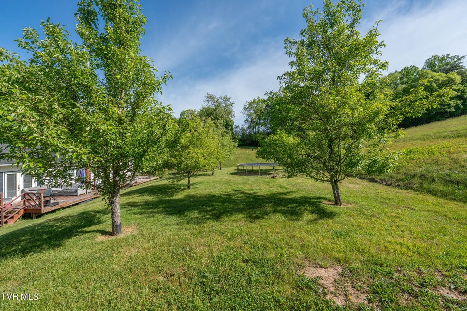 Photo #23: 214 Wilson Avenue