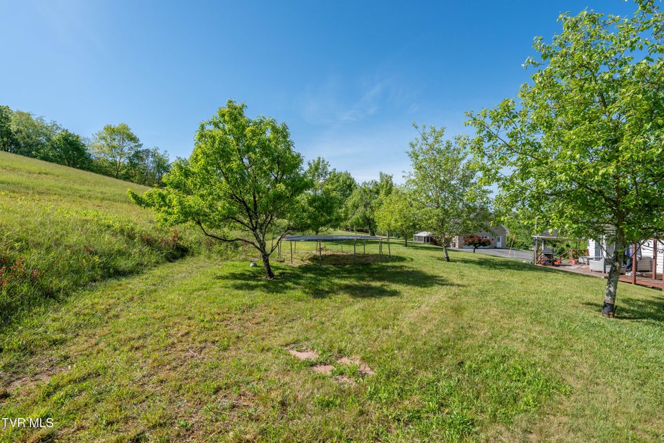 Photo #28: 214 Wilson Avenue
