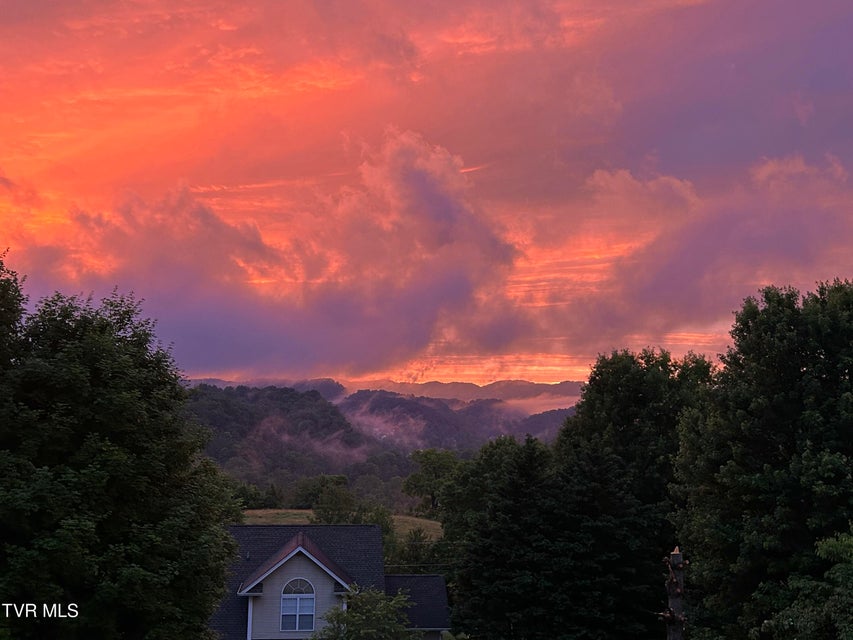 Photo #81: 208 Briarfield Drive