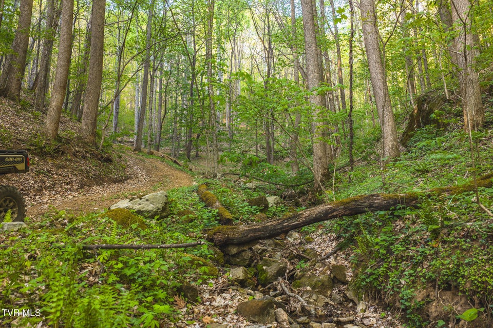 Photo #9: Tbd Cole Road