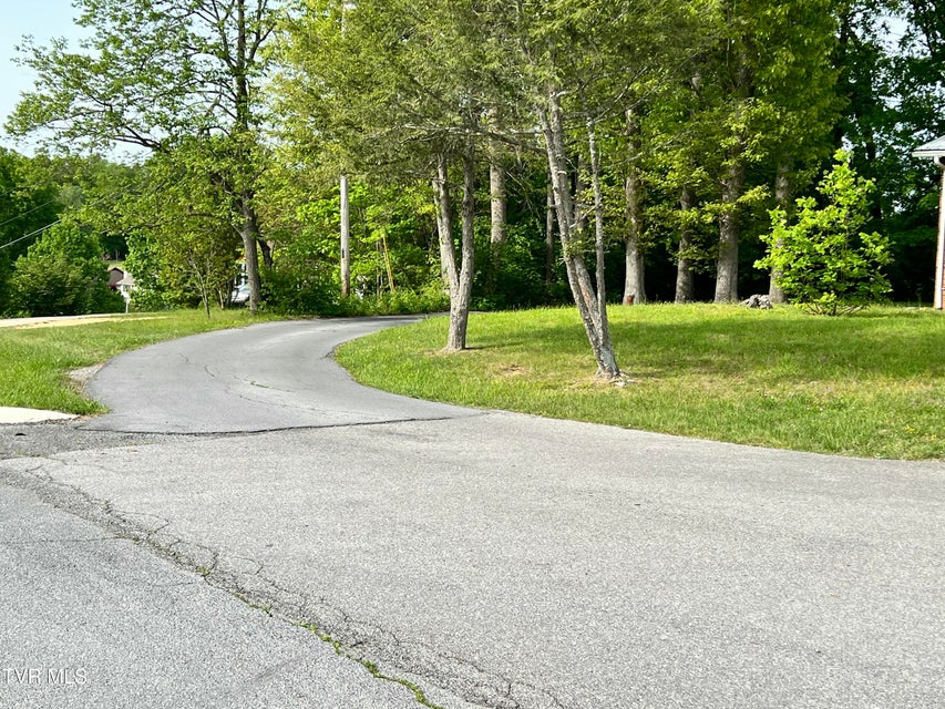 Photo #3: 150 Joe Hale Drive