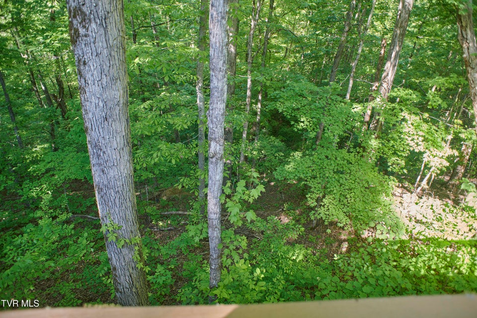 Photo #17: 1092 Hwy 25 E 