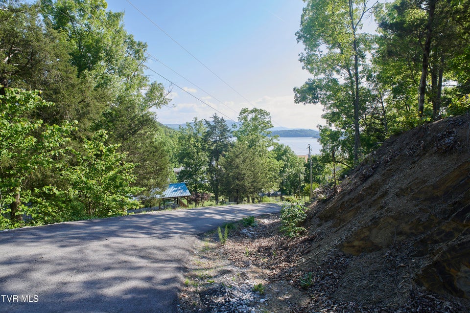 Photo #30: 1092 Hwy 25 E 