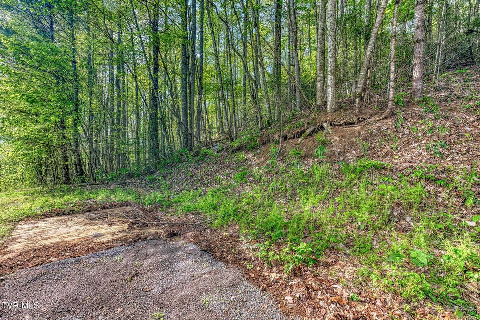Photo #34: 514 Piney Grove Road